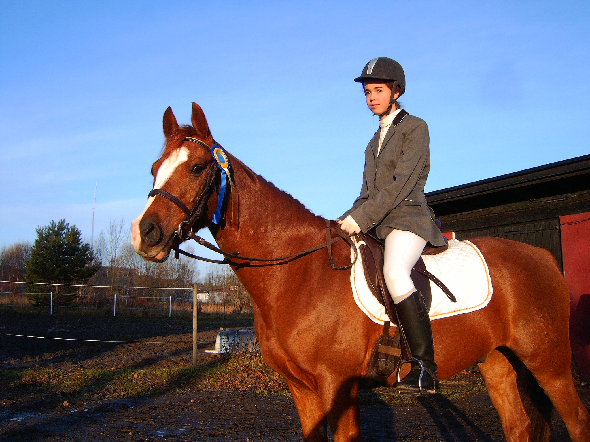 Caroline o Lavino, vinst MäRK